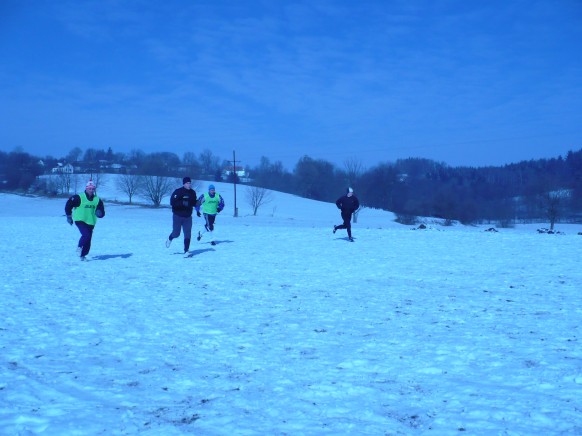 Mozolov 2011