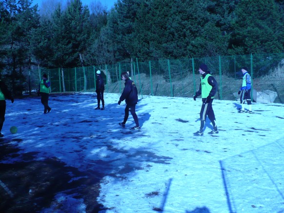 Mozolov 2011