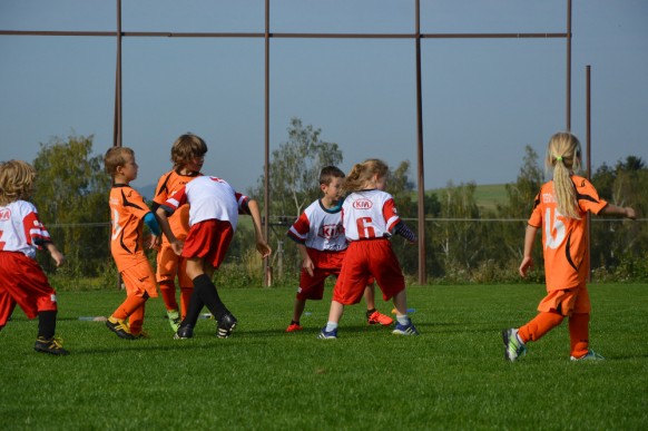 Minipřípravka 10/2016